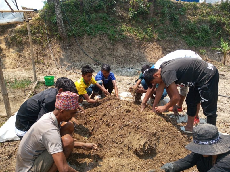 Sustainable Agrology through Agro Forest in Mountain Areas of Nepal (SAAFMAN II)