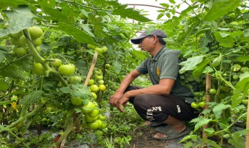 Mandan Deupur Agro-Forest Resource Centre (MDAFRC- Phase III)